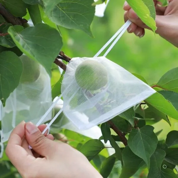 50 PCs । Reusable Fruit Protection Nylon Net Bag  (15×20 cm) । CN-42 - Image 4