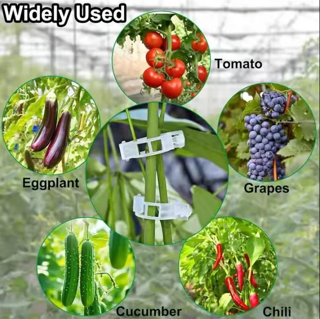 50 PCs । Reusable Plant Climbing Clip । CN-43 - Image 4