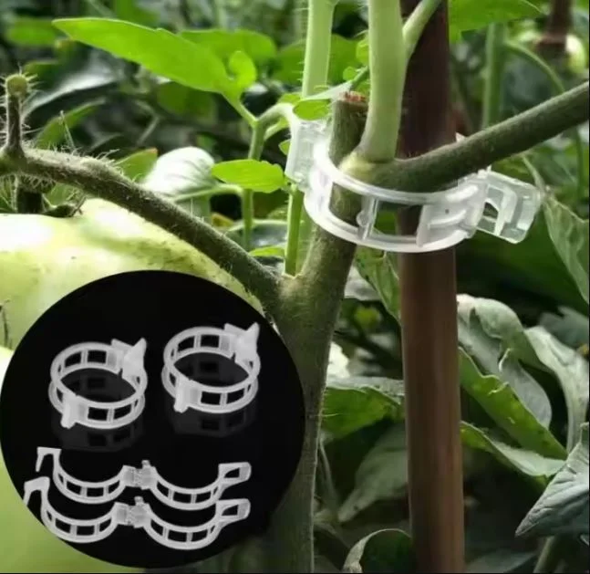 50 PCs । Reusable Plant Climbing Clip । CN-43 - Image 6