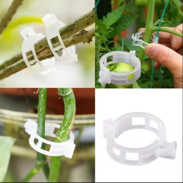 50 PCs । Reusable Plant Climbing Clip । CN-43 - Image 7