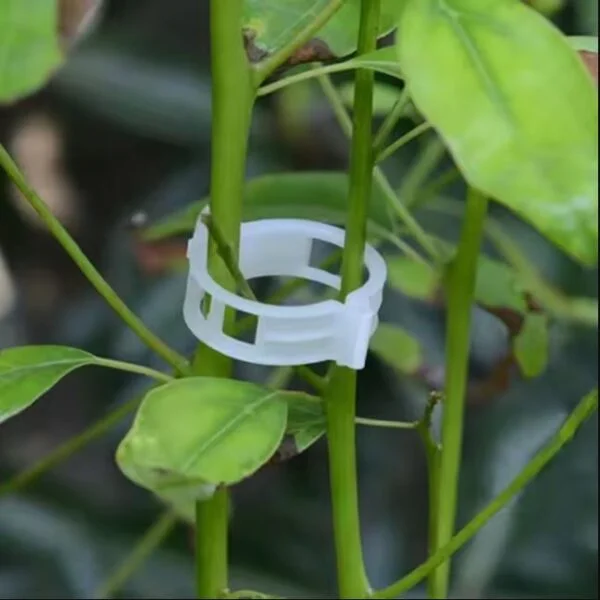 50 PCs । Reusable Plant Climbing Clip । CN-43 - Image 8