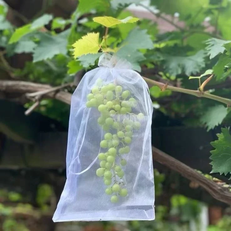 25 PCs । Reusable Fruit Protection Nylon Net Bag  (25×35 cm) । CN-42