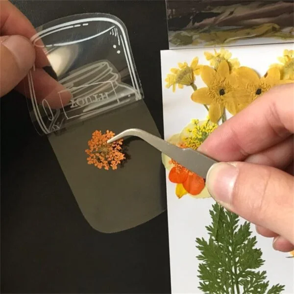 50 PCs । Flower Storage Clear Book Mark । CN-52 - Image 7