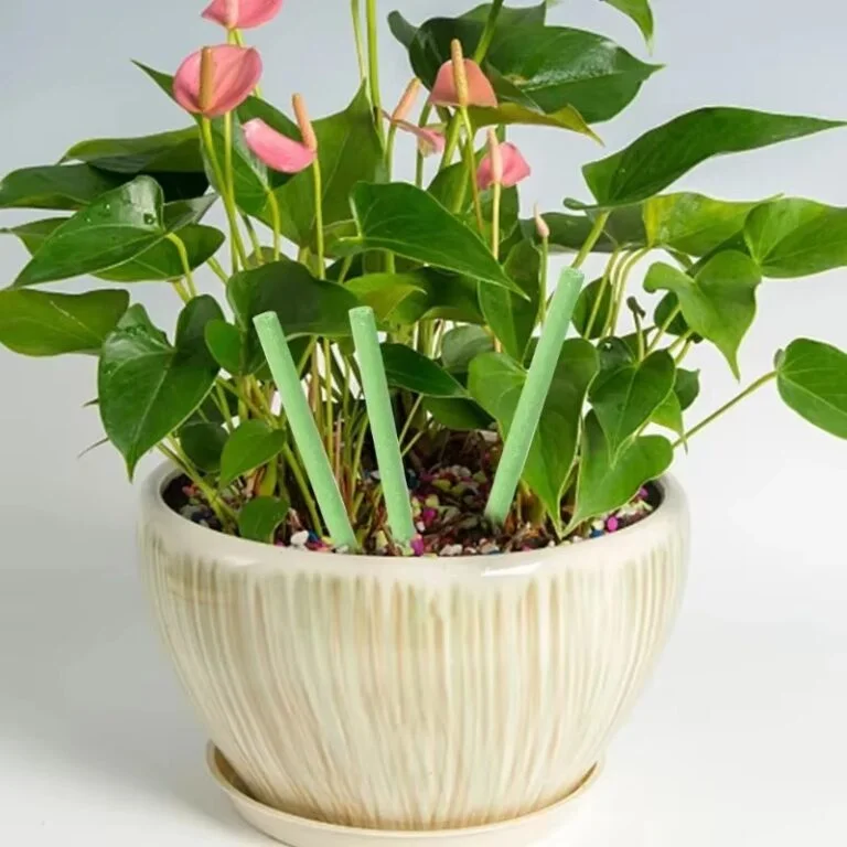Plant Growth Fertilizer Stick for Indoor & Outdoor Gardening (1 Box) । CN-105 - Image 4