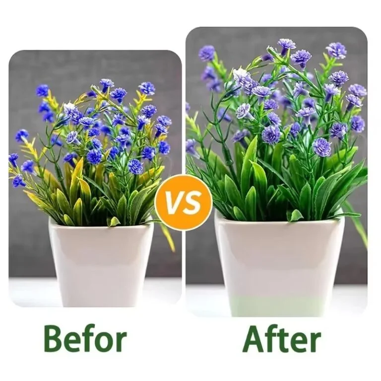 Plant Growth Fertilizer Stick for Indoor & Outdoor Gardening (1 Box) । CN-105 - Image 6