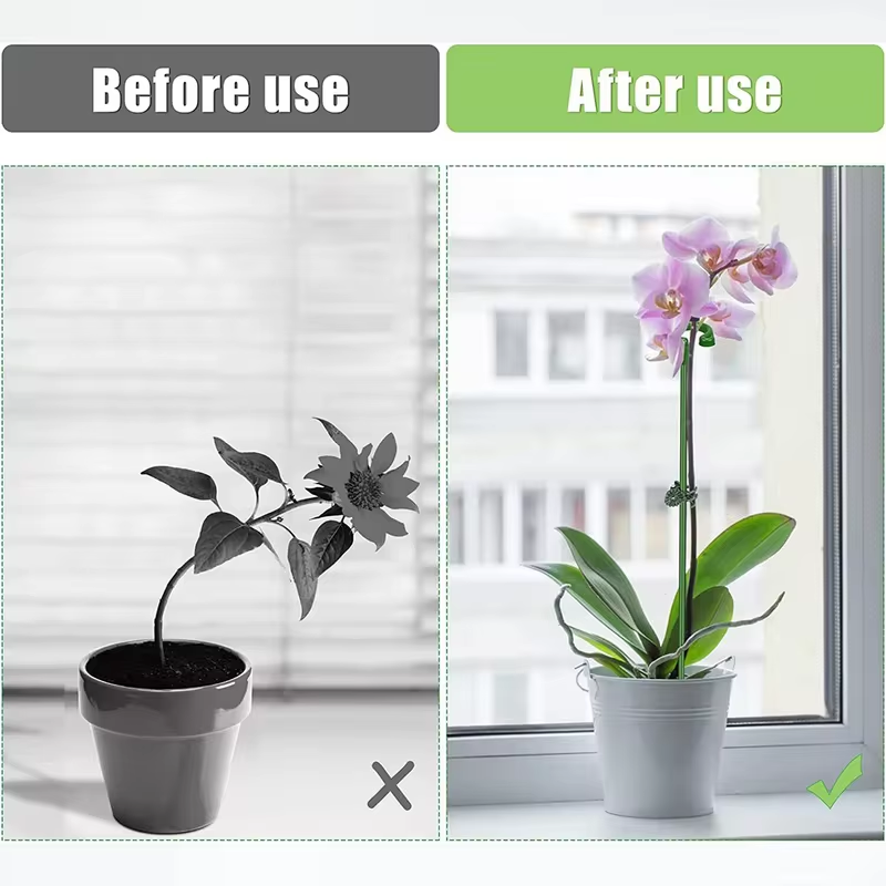 10 PCs । Plant Support Stake with Ring (Green) (37 cm) । CN-38 - Image 4