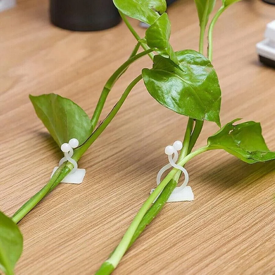 50 PCs । Self-Adhesive Plant Climbing Fixture Clip (Green) । CN-35 - Image 6