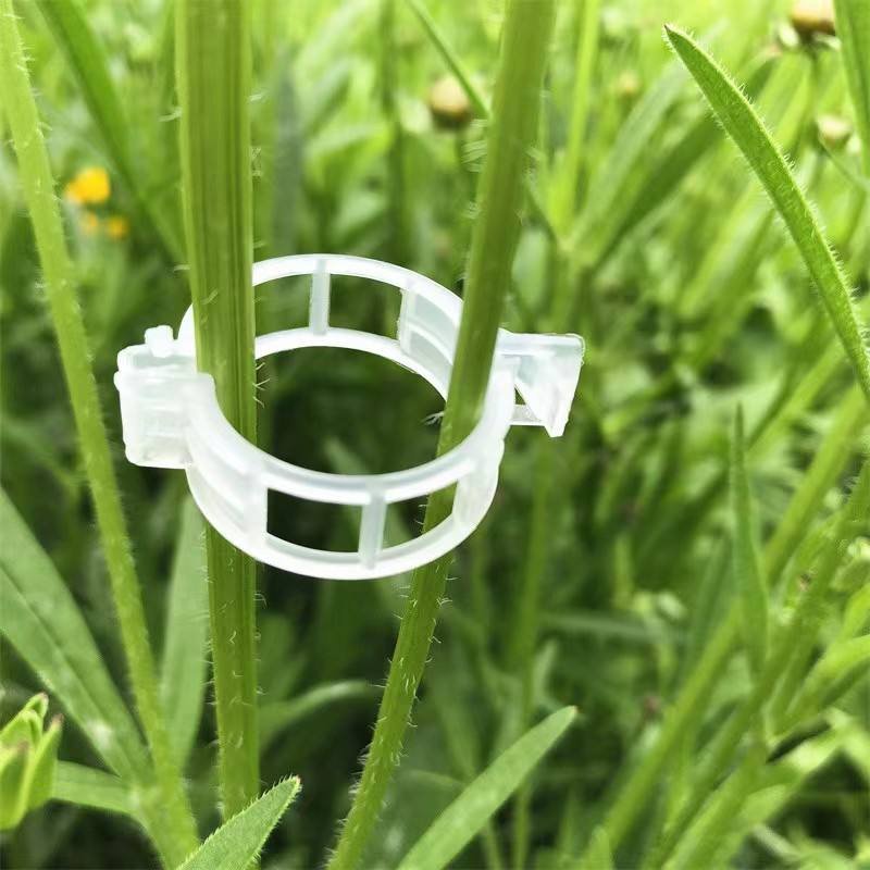 50 PCs । Reusable Plant Climbing Clip । CN-43