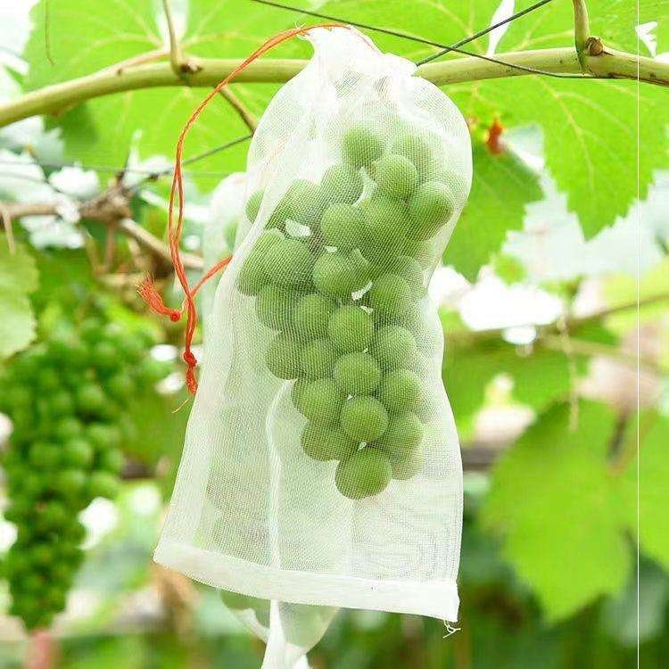 50 PCs । Reusable Fruit Protection Nylon Net Bag  (15×20 cm) । CN-42
