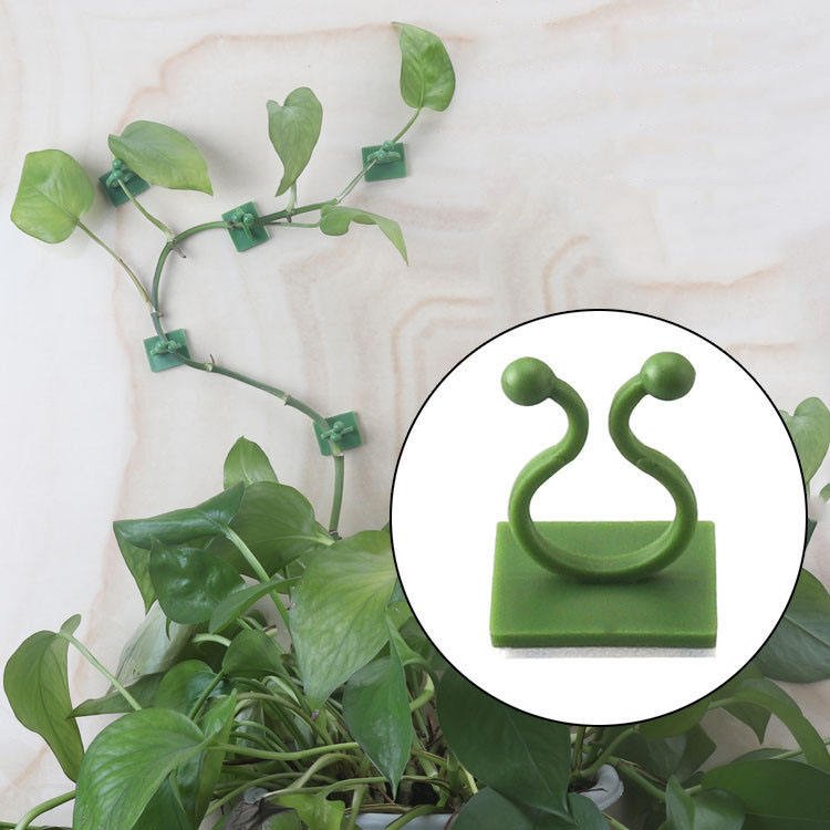 50 PCs । Self-Adhesive Plant Climbing Fixture Clip (Green) । CN-35